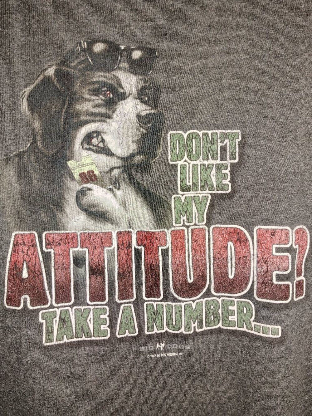 VTG Y2K Big Dogs Hanes Shirt Mens 4XL Dark Gray Don't Like My Attitude Take a #